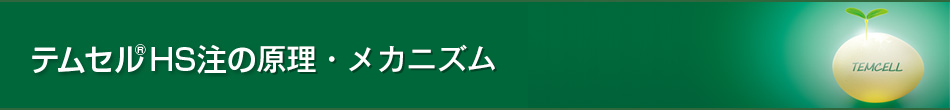 テムセル®HS注の原理・メカニズム